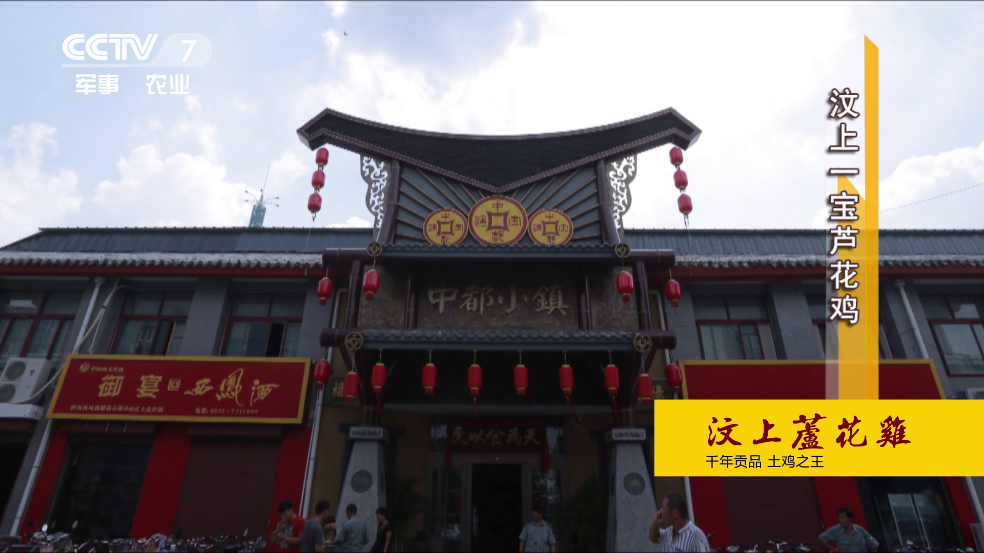 CCTV7   美麗中國鄉村行  |  汶上一寶蘆花雞