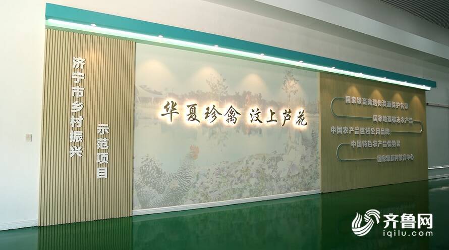 【齊魯網】濟寧2022上半年重點項目巡禮:汶上蘆花雞全產業鏈標準化生產基地項目 - 副本