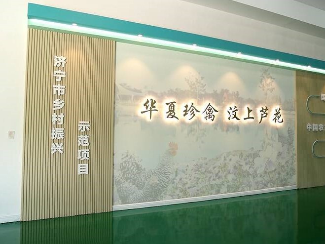 【齊魯網】濟寧2022上半年重點項目巡禮：汶上蘆花雞全產業鏈標準化生產基地項目